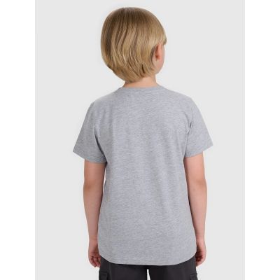 4. Boy's regular printed T-shirt 4F 4FJRMM00TTSHM3255-25M