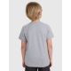 4. Boy's regular printed T-shirt 4F 4FJRMM00TTSHM3255-25M