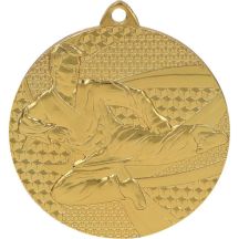 Gold medal - karate - steel medal