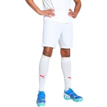 Puma Team Goal men's shorts white 705752 04