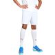 Puma Team Goal men's shorts white 705752 04