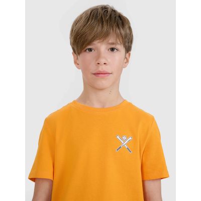 4. Boy's regular printed T-shirt 4F 4FJRSS25TTSHM2642-70S