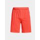 15. Under Armour M 1376955-877 Shorts