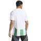 4. Adidas Striped 24 JSY M T-shirt IW2148