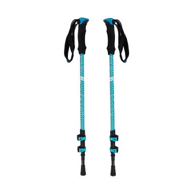 Viking Shiva Trekking Poles Blue 610-24-1617-0970-UNI
