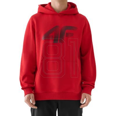 2. Sweatshirt 4F M 4FWMM00TSWSM1766 062S