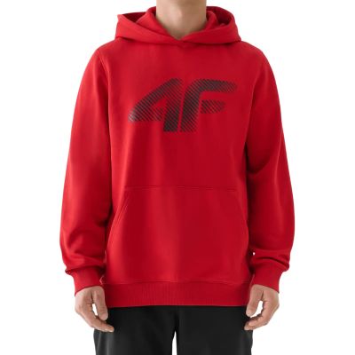 2. Sweatshirt 4F M 4FWMM00TSWSM1766 062S