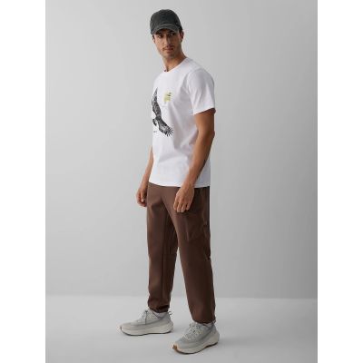 3. Men's cargo sweatpants 4F 4FRAW26TTROM2091-81S