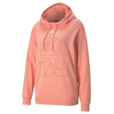 Puma Modern Basics Hoodie W 585933 26