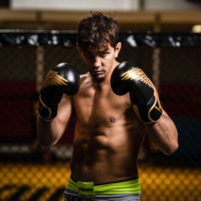 29. 8oz Boxing Gloves - Hawk - Origin Series