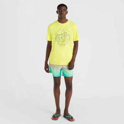 8. O'Neill Jack Cali Gradient 15'' Swim Shorts M 92800613575