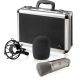 2. Behringer B-2 PRO Metallic Studio Microphone