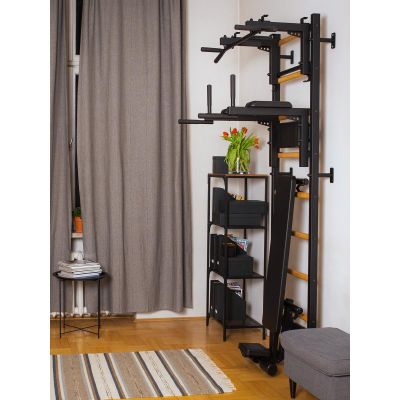 81. GYMNASTIC LADDER, HANDLEBAR AND BENCH BENCHK 733B