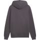 2. Men's Puma ESS 2 Color Small No.1 Logo Hoodie, grey, 684718 77