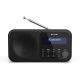 Sharp DR-P420 Portable Radio Black