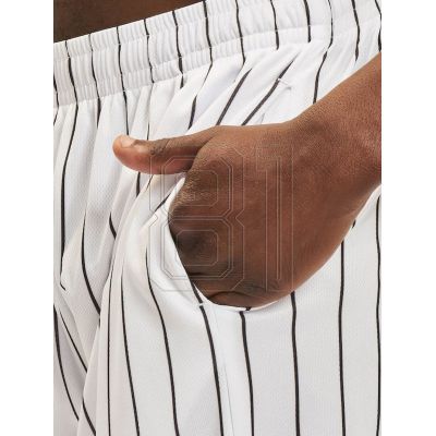 7. Karl Kani Small Signature Pinstripe Mesh Short M 6014921