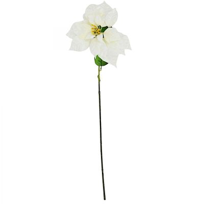 Poinsettia 30 cm, white