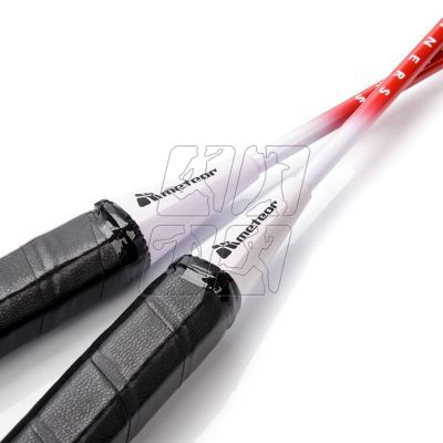 10. Meteor Motion 2 20076 badminton set