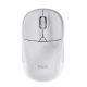 3. TRUST Primo Wireless Mouse matt white