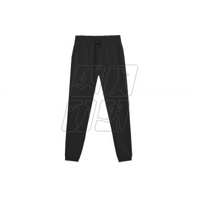 Trousers 4F W 4FSS23TTROF333 black