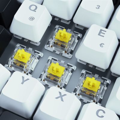 3. Sharkoon SKILLER SGK50 S3 USB QWERTZ Gaming Keyboard German White