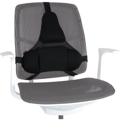 3. Fellowes Ergonomics Professional Back Support Cushion