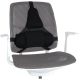 3. Fellowes Ergonomics Professional Back Support Cushion