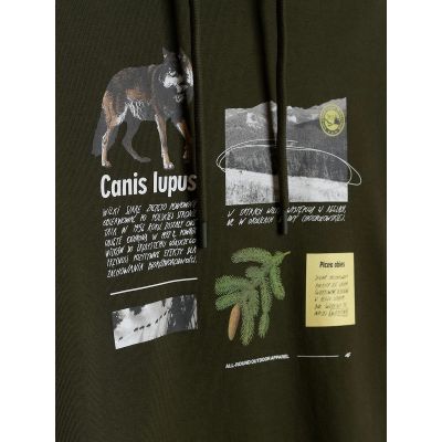 6. Men's regular hooded sweatshirt 4F 4FRAW26TSWSM3162-43S