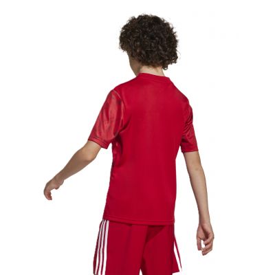 2. adidas Team Icon 25 Jr JM8362 T-shirt