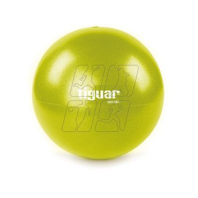 2. Tiguar easyball TI-PEB026 gymnastic ball