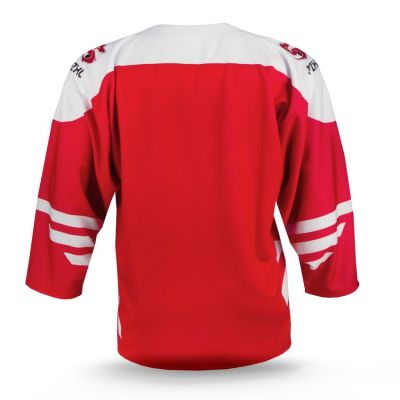 2. Replica of the Polish Senior National Team jersey
