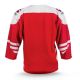 2. Replica of the Polish Senior National Team jersey