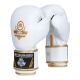 10oz Boxing Gloves - Spirit - Valor Series