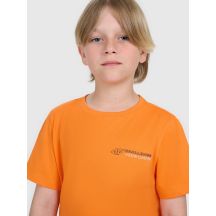 Boy's regular printed T-shirt 4F 4FJWAW25TTSHM2415-70S