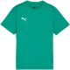 3. Puma TeamGoal Jersey for kids green 658637 05