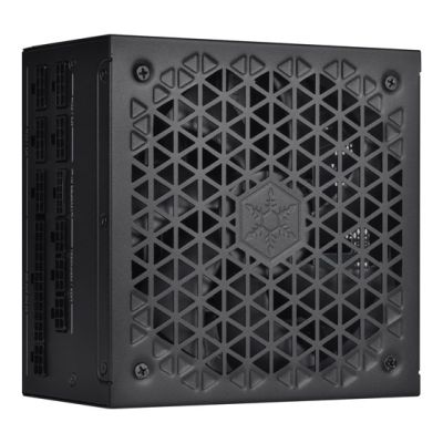 12. Silverstone DA1000R Gold Power Supply Module 1000 W 20+4 pin ATX ATX Black