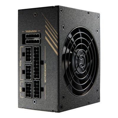 10. Fortron DAGGER PRO 650W 648 W 650 W Power Supply