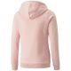 2. Puma ESS Logo Hoodie FL Jr 587031 36
