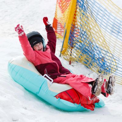 41. Meteor Owl Snow Slide 16765
