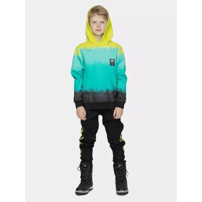 2. Boy's cotton hoodie 4F 4FJWSS25TSWSM2339-90A