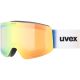 2. UVEX Provoqe FM Ski Goggles