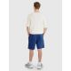 5. Shorts 4F M 4FWMM00TSHOM543-031S