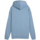 2. Puma ESS Relaxes Hoodie W 684976 34