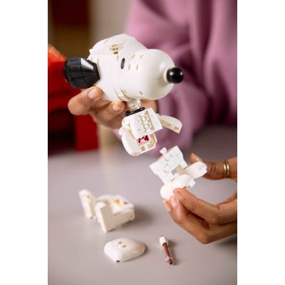 21. LEGO Ideas 21368 - Peanuts: Snoopy's Bud