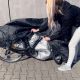 12. Waterproof grill cover, bicycle cover, bike cover, garden furniture cover, XL cover black