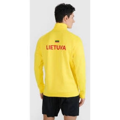2. Men's training sweatshirt without hood 4F 4FSAW24TFSWM0811-71S