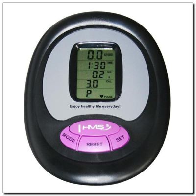 3. Purple magnetic bike HMS M9239V 