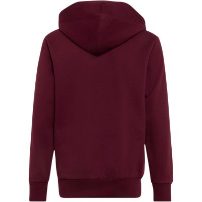 2. adidas Essentials Hoodie for kids, burgundy KT3380