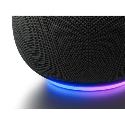 3. Google Home Gray