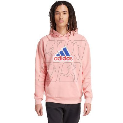 8. Adidas FI Bos Hd Oly M sweatshirt IS9597